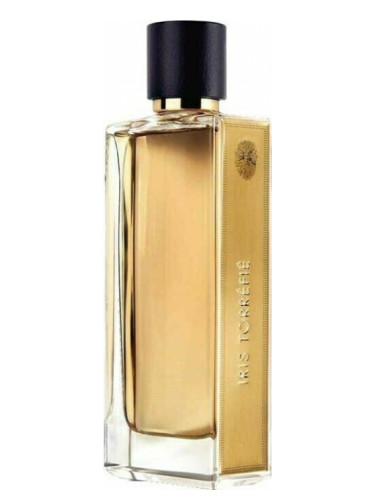 Generic Perfumes | Premium Perfume Oils – Inspired by Designer